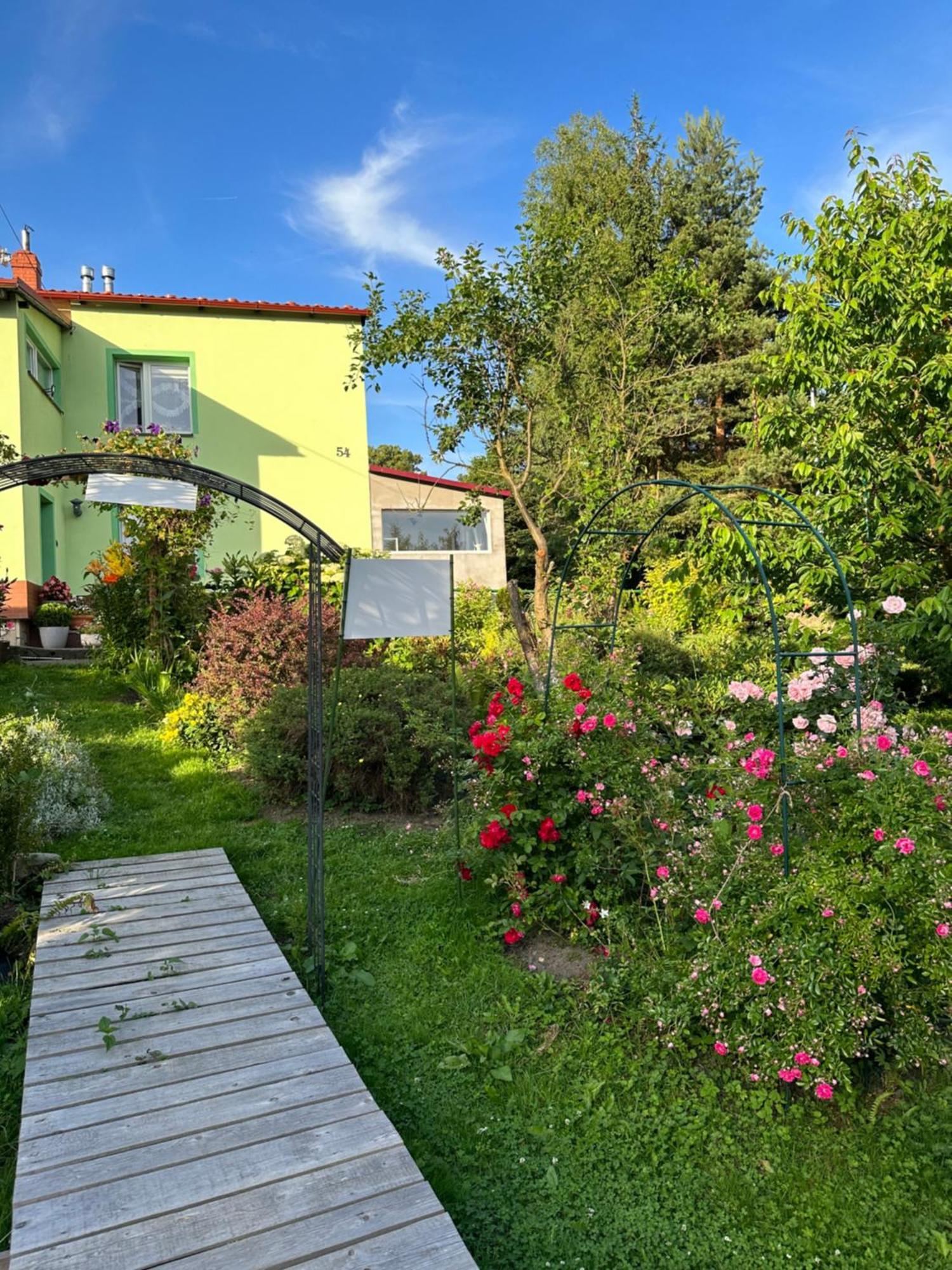 Mr. Sowa Sokolec Apartment Ludwikowice Klodzkie Exterior photo