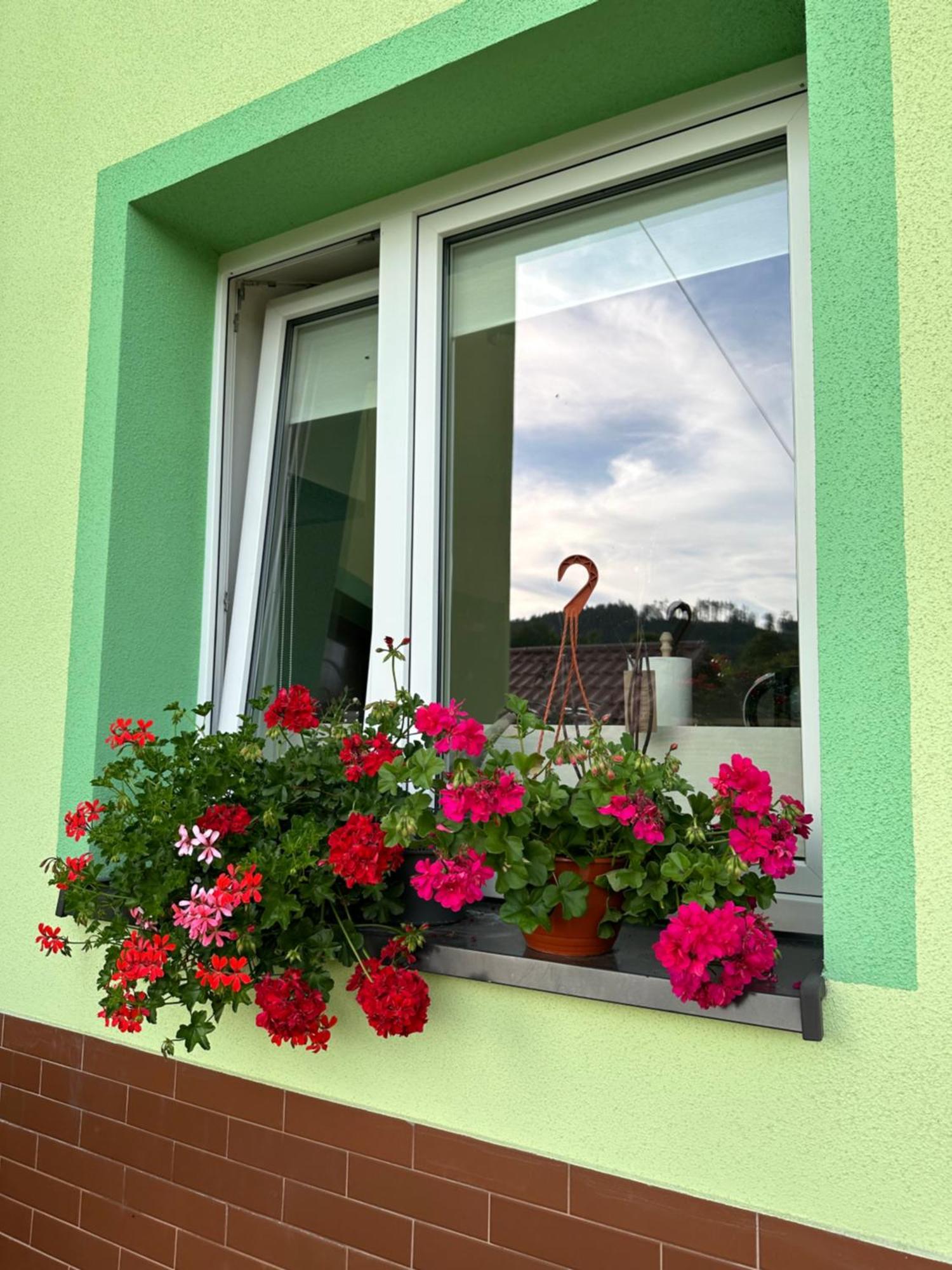Mr. Sowa Sokolec Apartment Ludwikowice Klodzkie Exterior photo